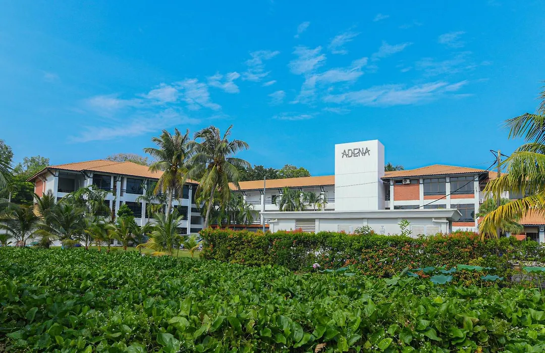 Adena Beach Resort-1